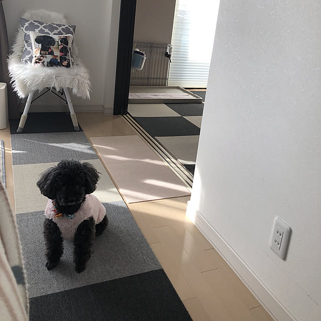 mama_panさんの実例写真