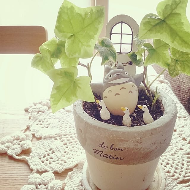aoさんの実例写真