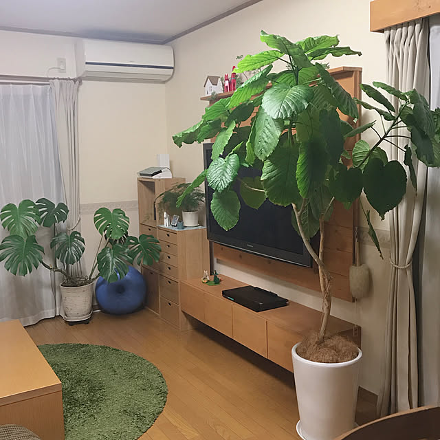 yukaさんの実例写真