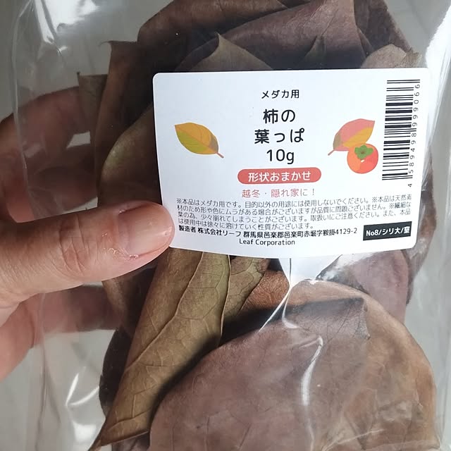 mi-saさんの部屋