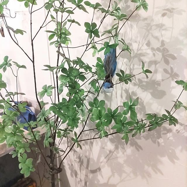 Maroさんの部屋