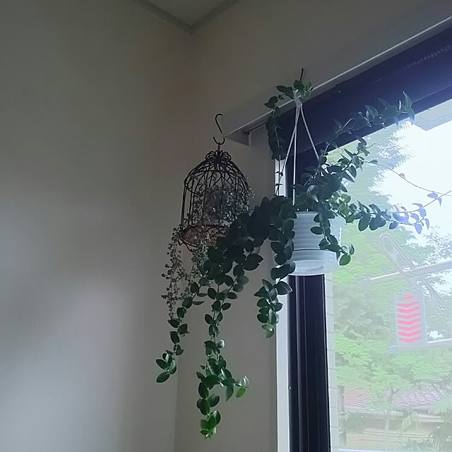 Shihoさんの実例写真