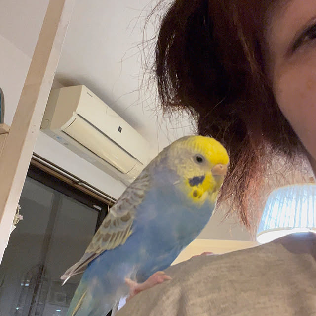Atsukoさんの部屋