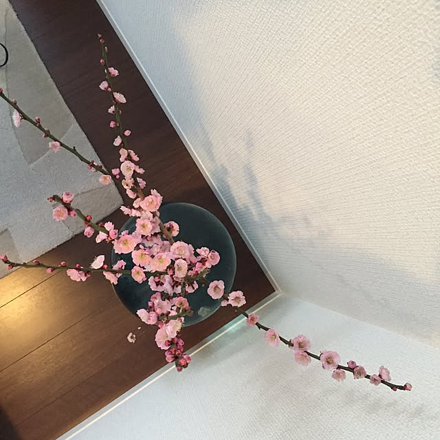 makimomongaさんの実例写真