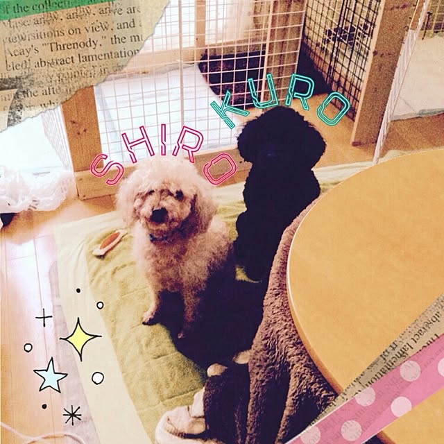chikaさんの実例写真