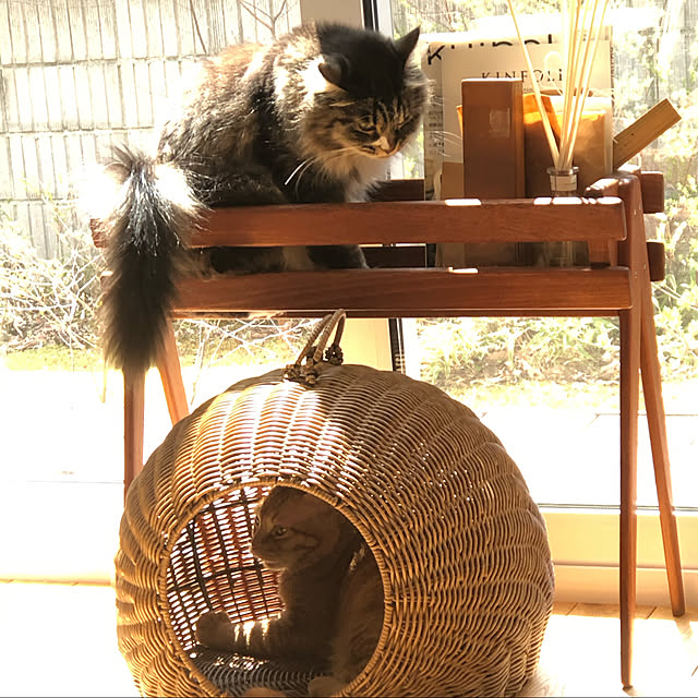 Hisashiさんの実例写真