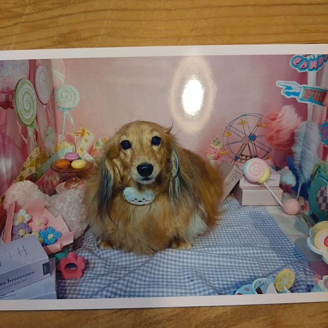 rikachakoさんの実例写真