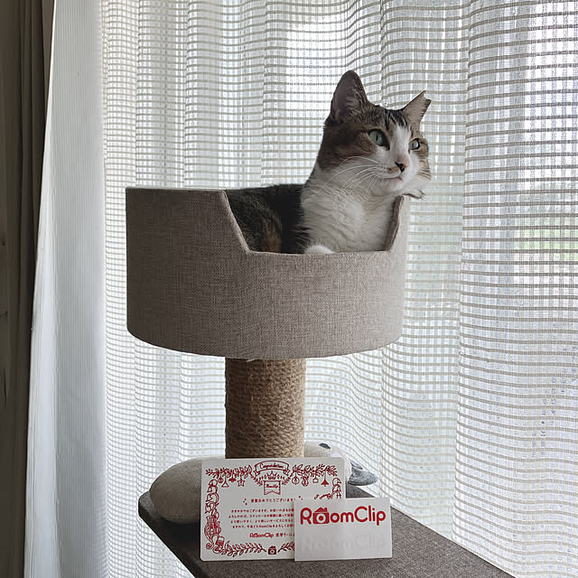 nekomiさんの部屋
