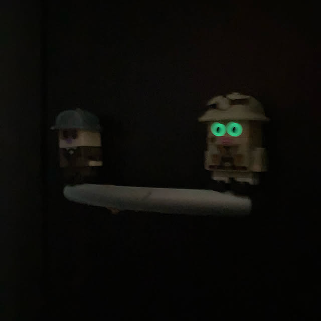 manduonmaさんの実例写真