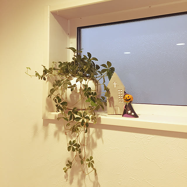 comoさんの実例写真