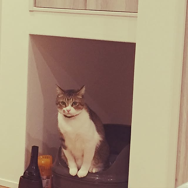 Kasumiさんの実例写真
