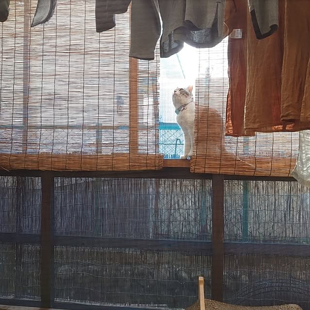 fukuさんの部屋