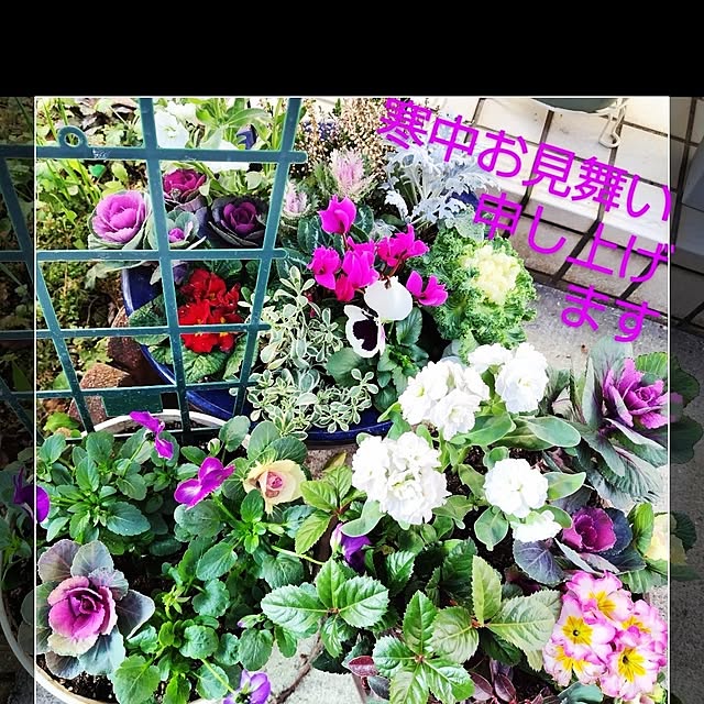katさんの実例写真