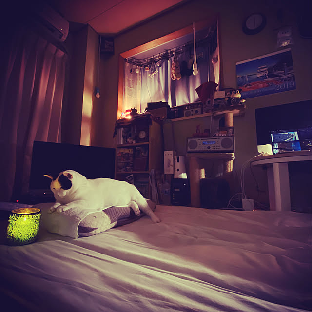 ptarouさんの実例写真