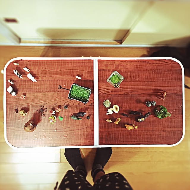 ramuchop3000さんの実例写真