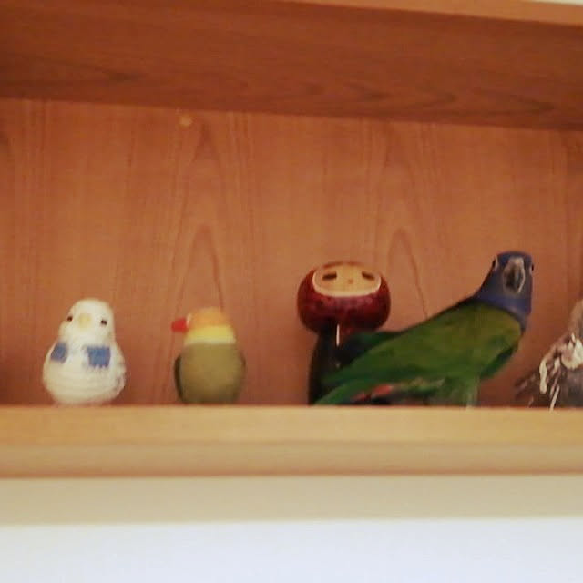 bonoさんの実例写真