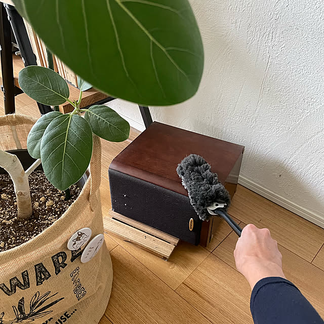 adamoさんの実例写真