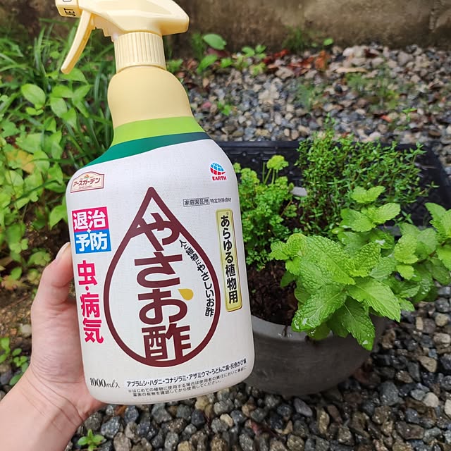 kumako.ieさんの実例写真