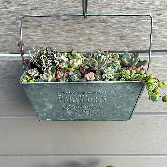 Piccoro26さんの部屋