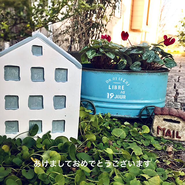 oyoさんの実例写真