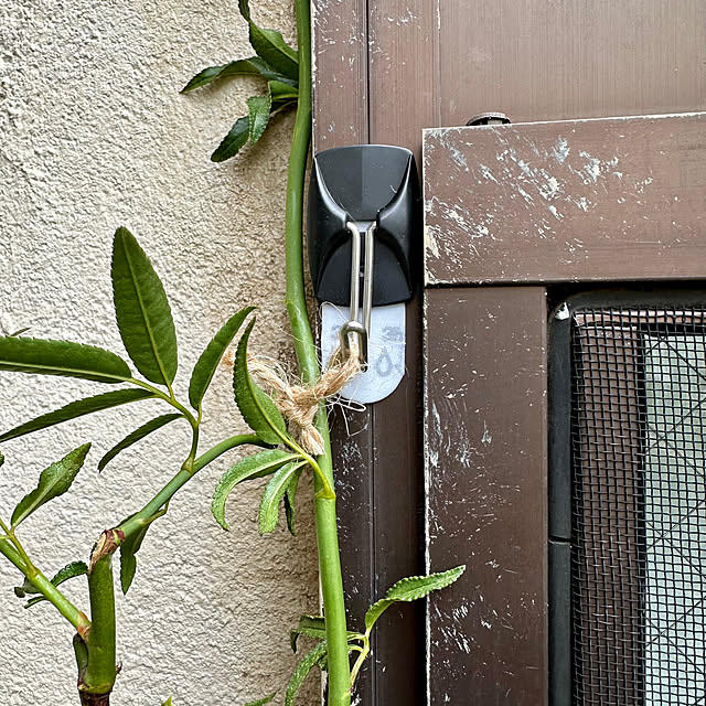 tabasaさんの部屋