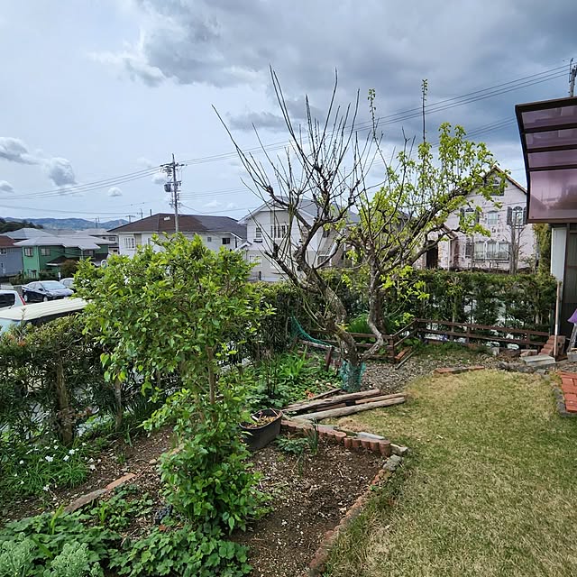 fuchan0930さんの部屋
