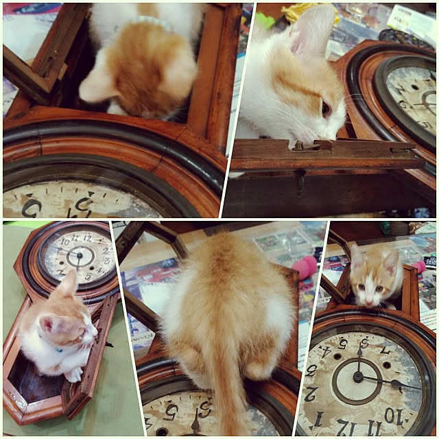 chimuさんの実例写真