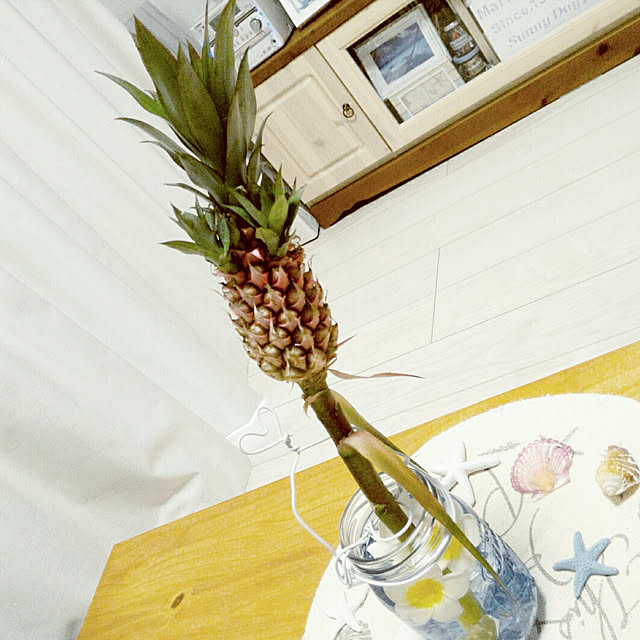 maiyukapiさんの実例写真