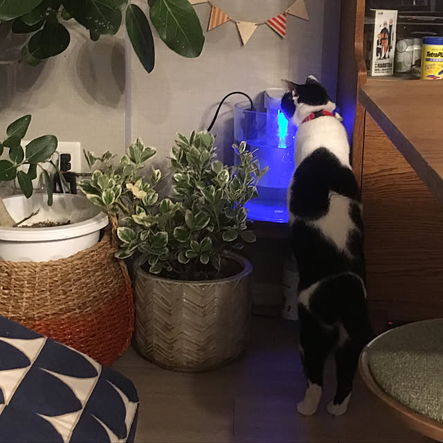 hanaさんの実例写真