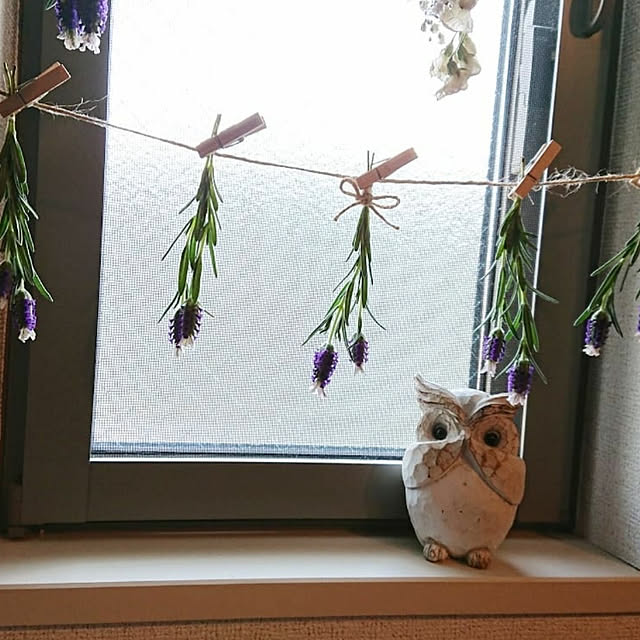 kanonさんの実例写真