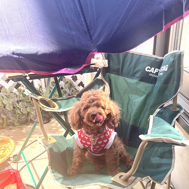 MOMOMAMAさんの部屋