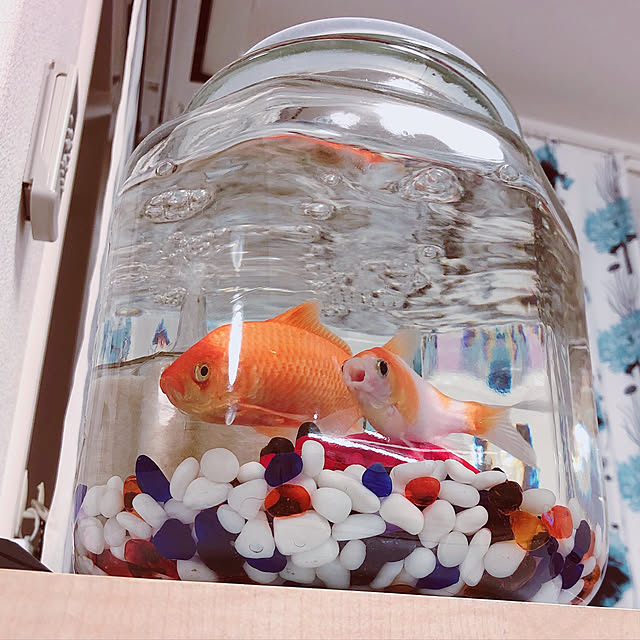 Ruiさんの実例写真