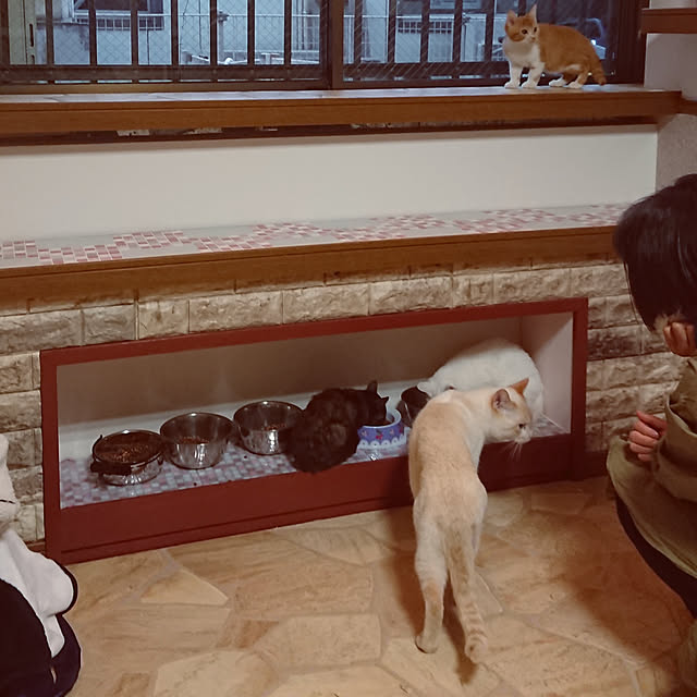 taka-kiさんの実例写真