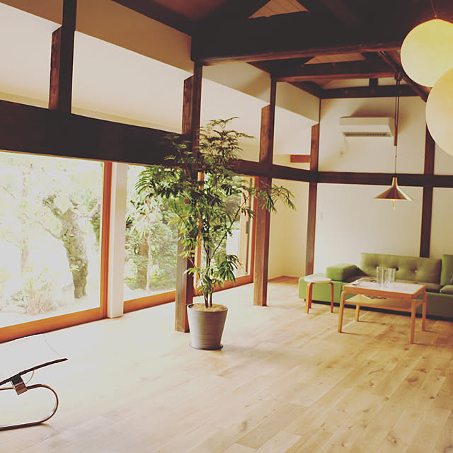 部屋全体/照明/北欧/観葉植物のインテリア実例 - 2017-08-22 00:05:05
