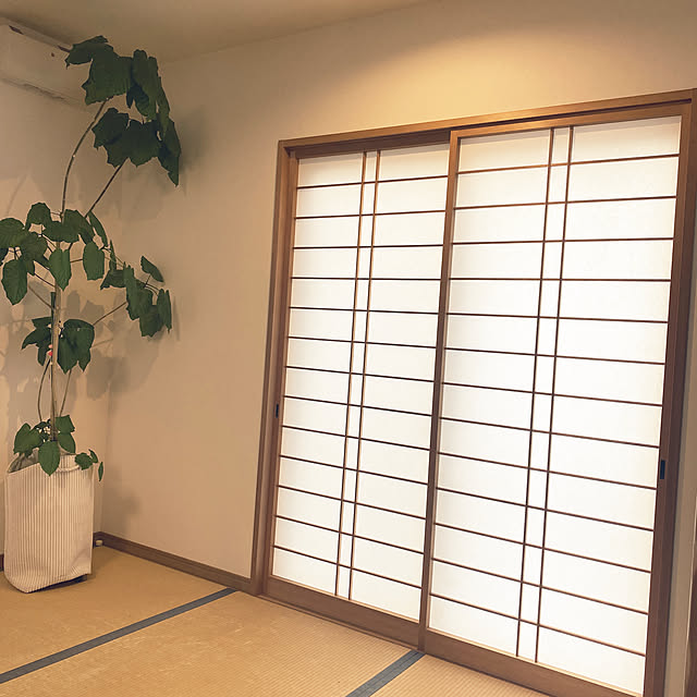 kotaroさんの実例写真