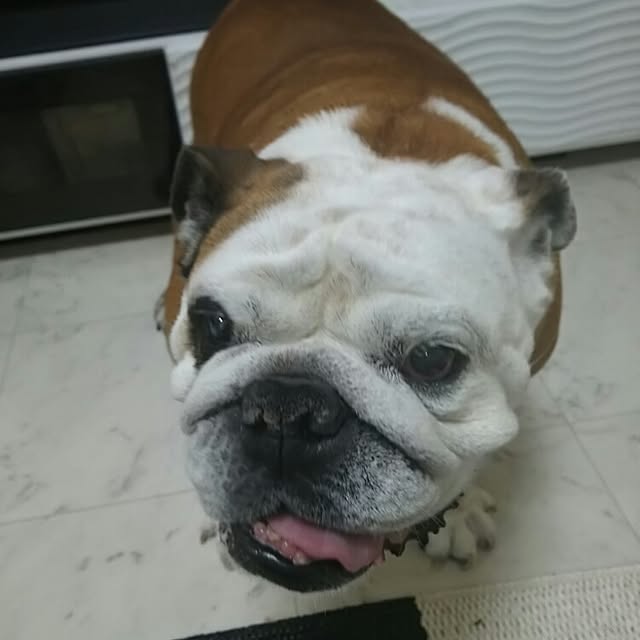 AandPさんの実例写真