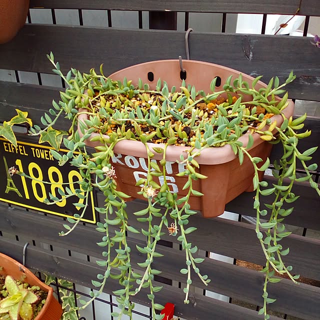 VERANDARJUNさんの実例写真