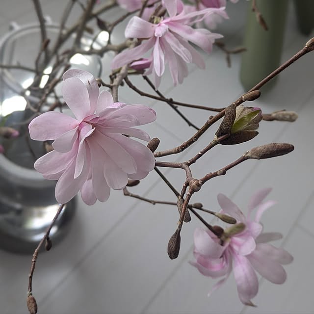 fumitanさんの部屋