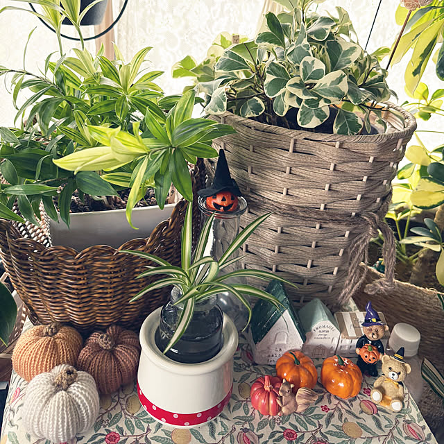 ChiCoさんの部屋