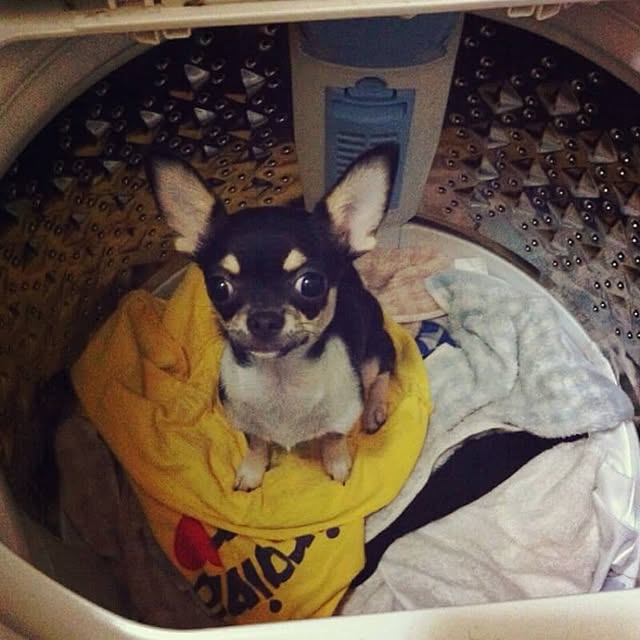 viviさんの実例写真