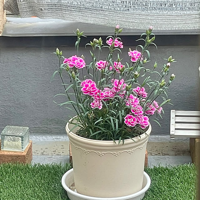 Ma-saさんの部屋