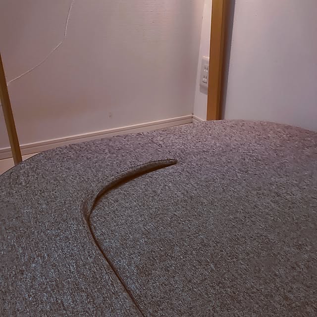 blueleavesさんの部屋