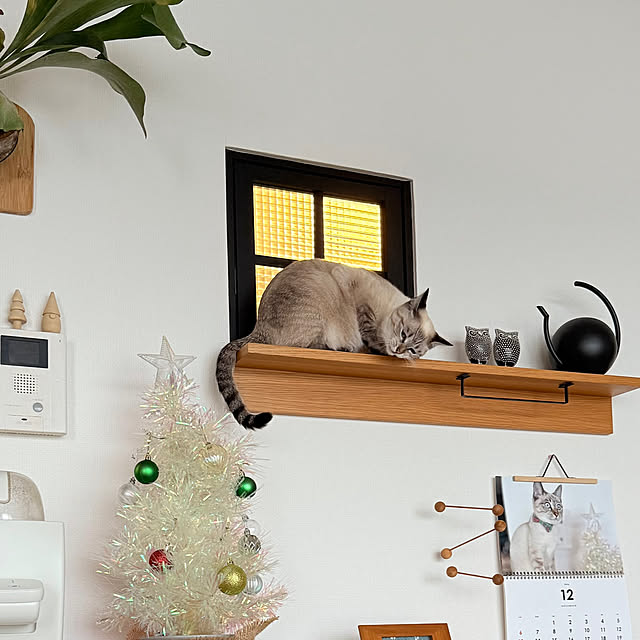 amさんの実例写真