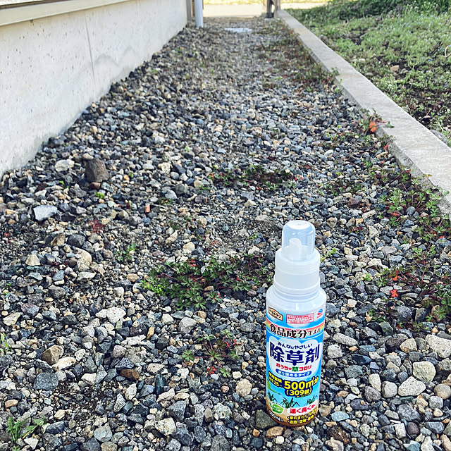 Rさんの実例写真