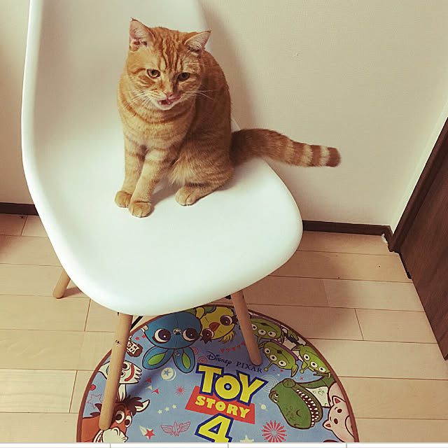 nekoさんの実例写真