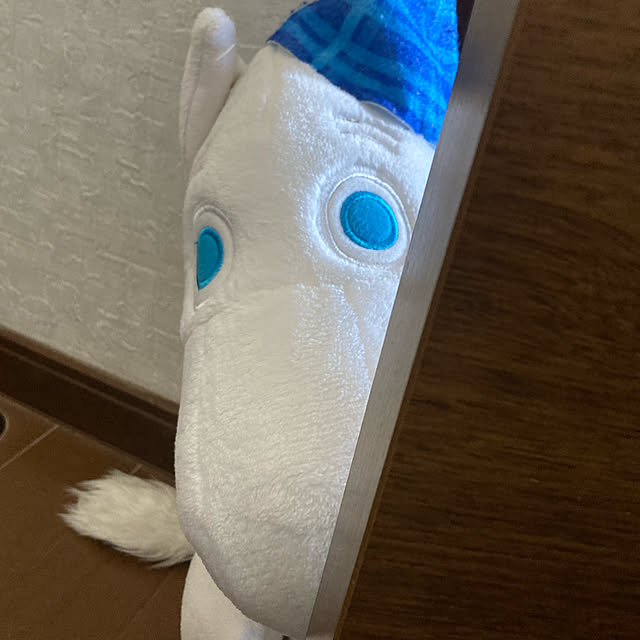 manduonmaさんの実例写真