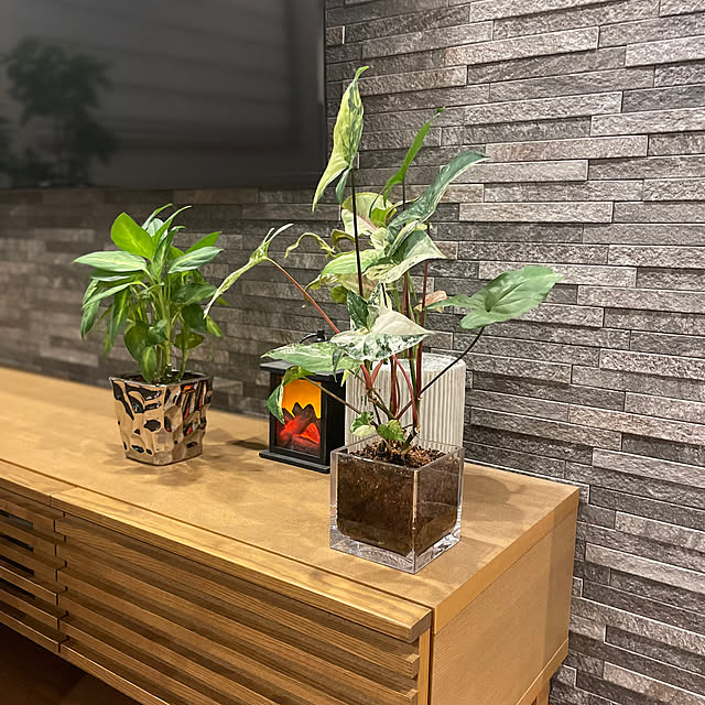 ikuzakさんの部屋