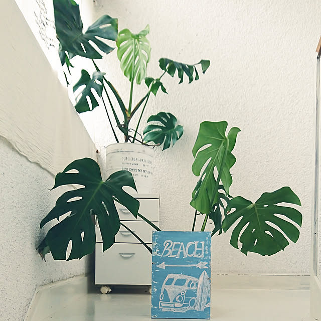 0103_eriさんの実例写真