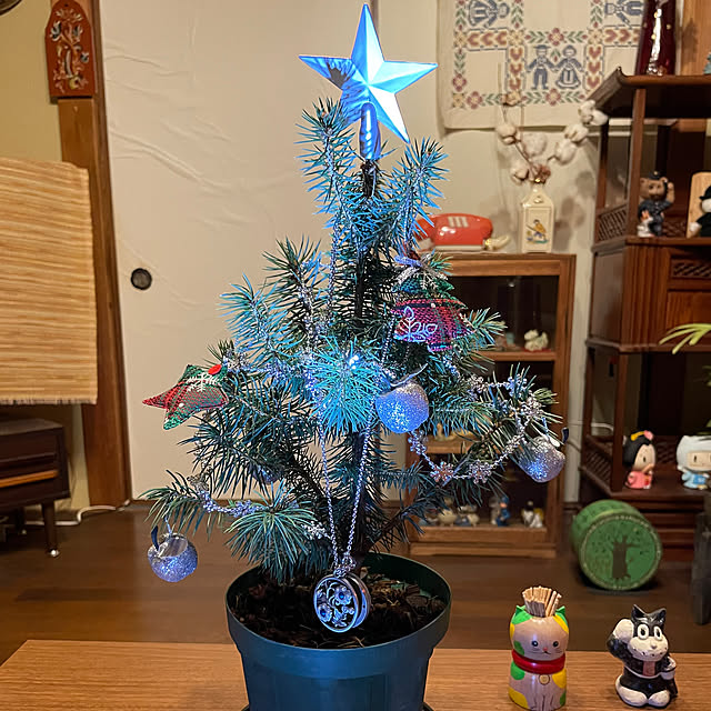 shin0719さんの実例写真