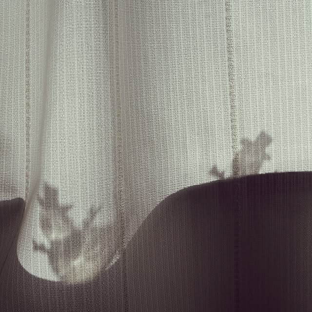 reon21さんの実例写真
